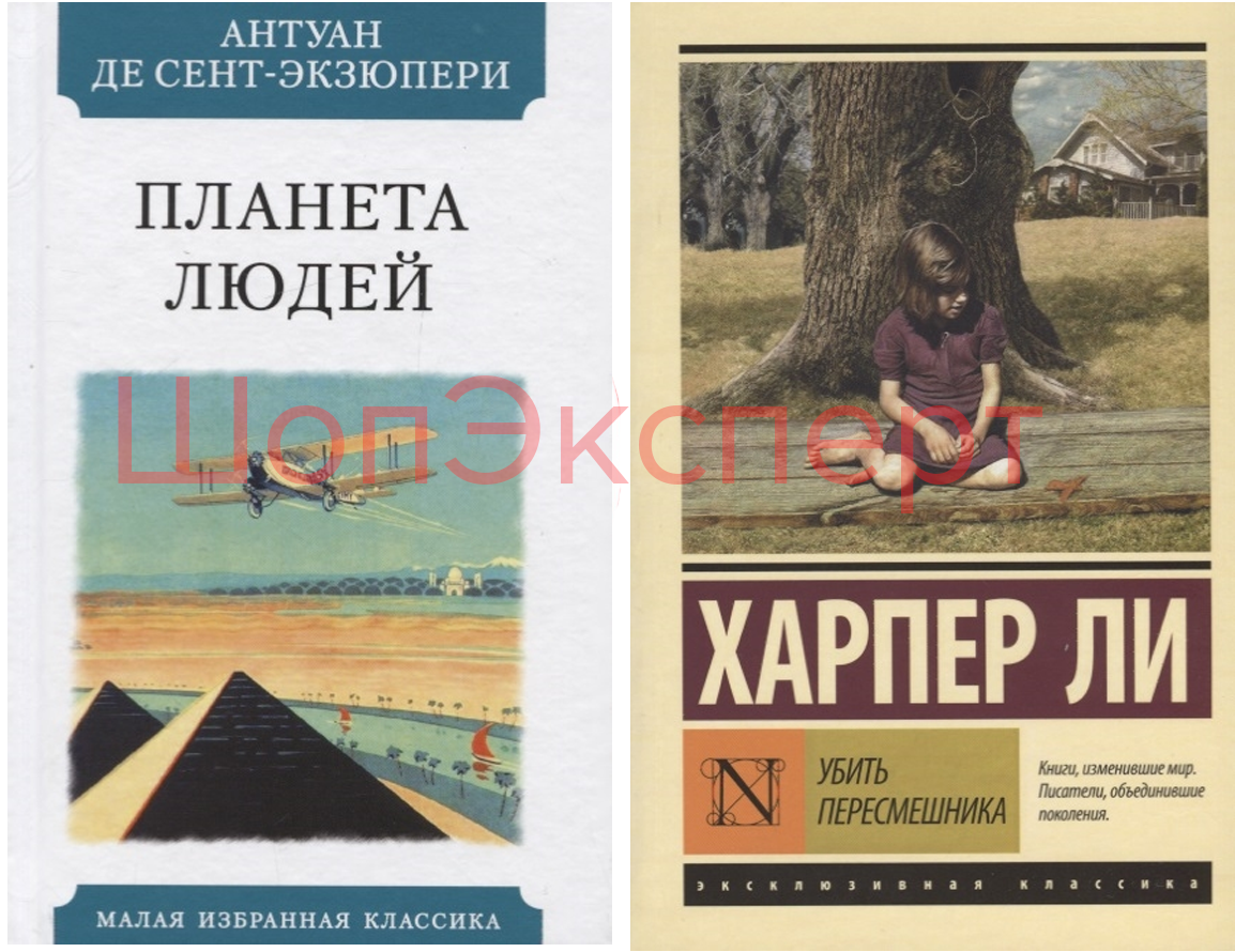 Как я заказала книги в Пятёрочку | ШопЭксперт | Дзен