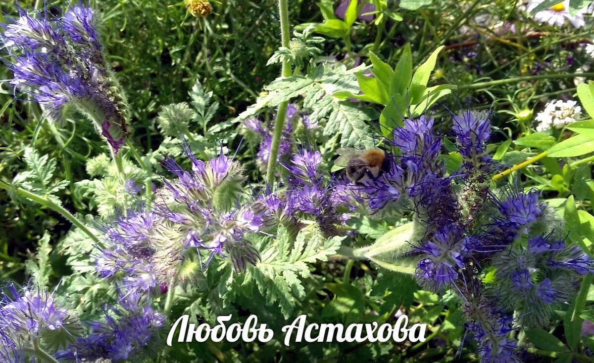 Когда мы точно знаем, для чего нам что-либо нужно, нам не требуется мотивация и мы никогда не промахнёмся. 