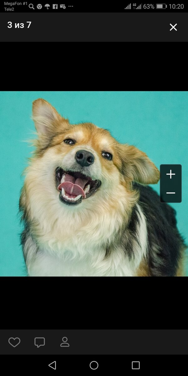 Айседора, или просто Ася