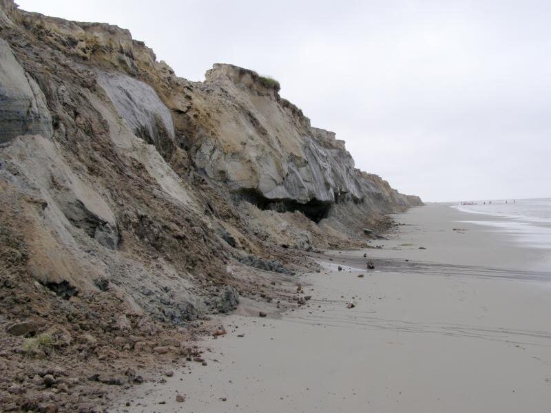  Географический факультет МГУ
Термоабразионный берег о. Белый, Карское море
