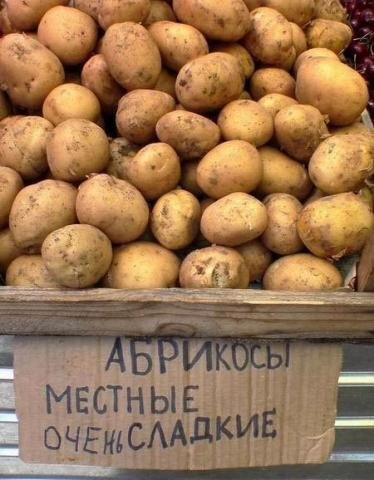 Ну про абрикосы чем славится Ташкент лючше не говорить.
