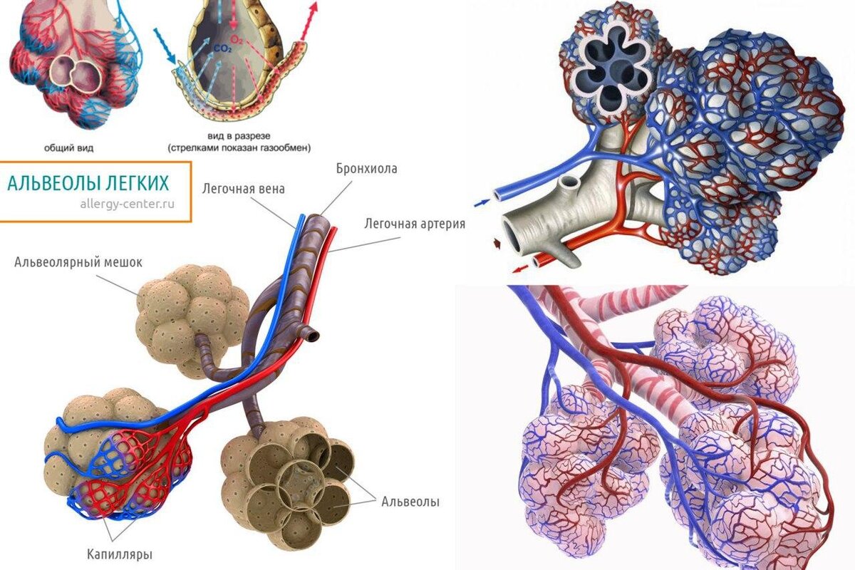 Фото взято из Яндекс картинок в образовательных целях