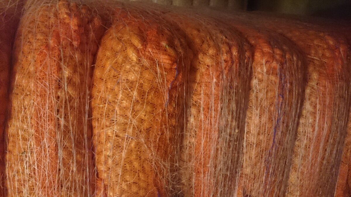 Штудгарт с сайта www.idealno24.ru