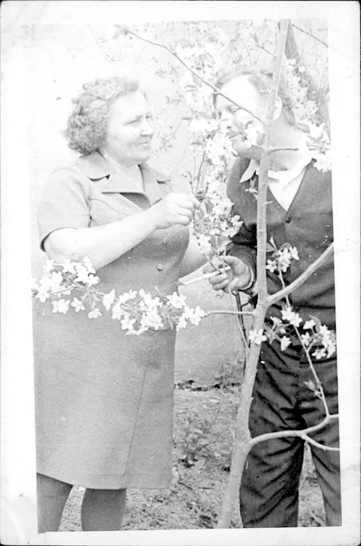 Мои родители