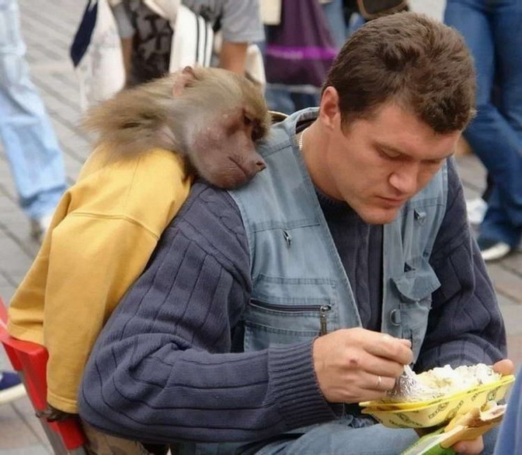 ну как можно отказать