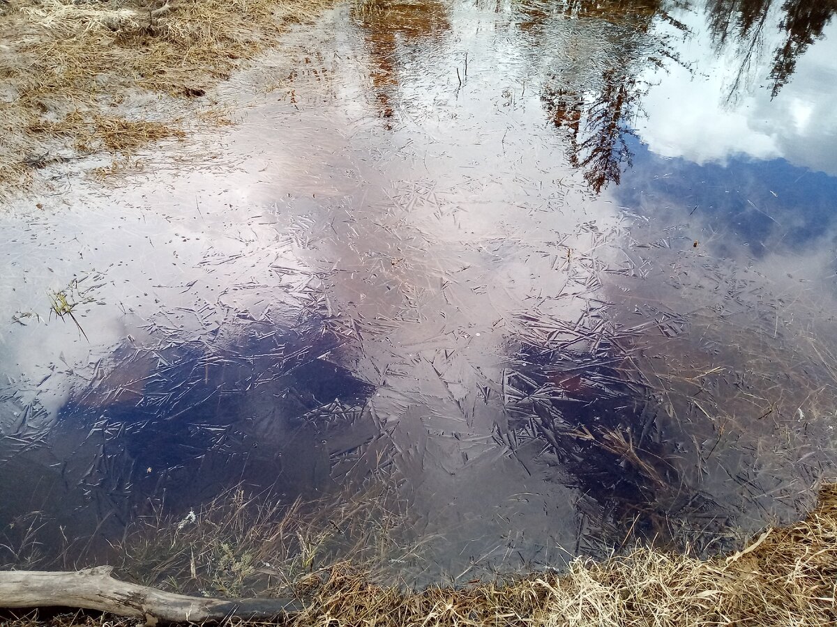 место покрытое водой. эвтрофикация балтийского моря. северный ледовитый океан паковый лед. цветение воды. затопления солёной морской водой или падения метеоритов.