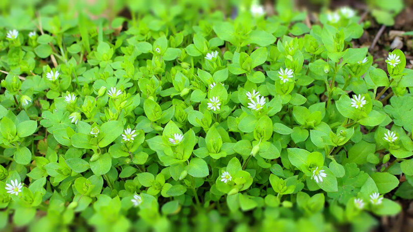 Фото взято с открытых источников