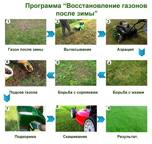 Пользователи часто читают эти темы форума