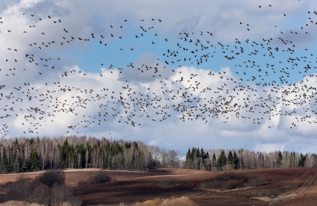 Фото из открытых источников.