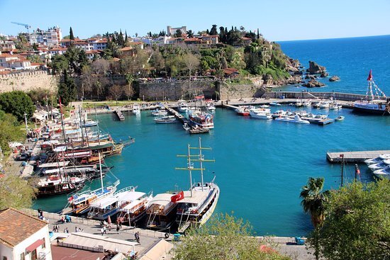 by tripadviser