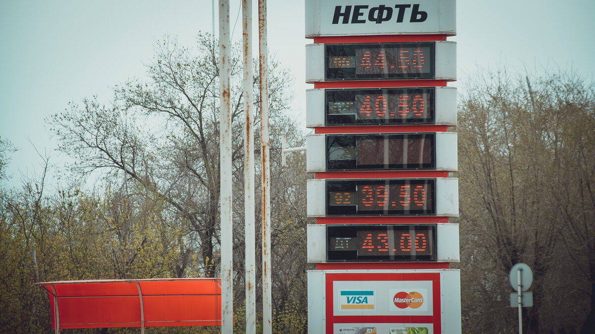 Фото: novostivolgograda.ru