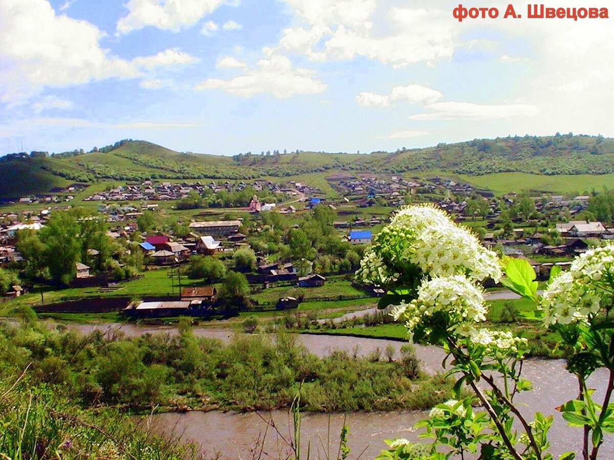 Село ело алтайского края