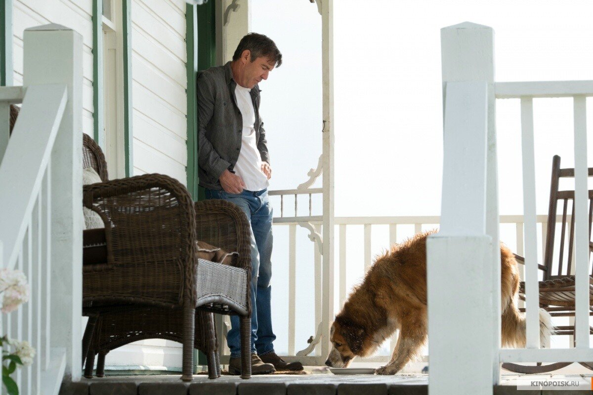 Взято с https://www.kinopoisk.ru/film/571896/stills/