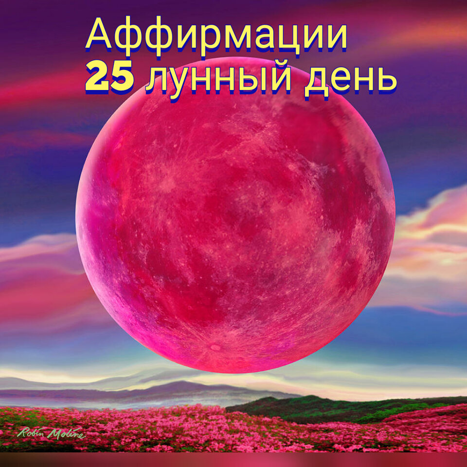 Картинка : яндекс картинки