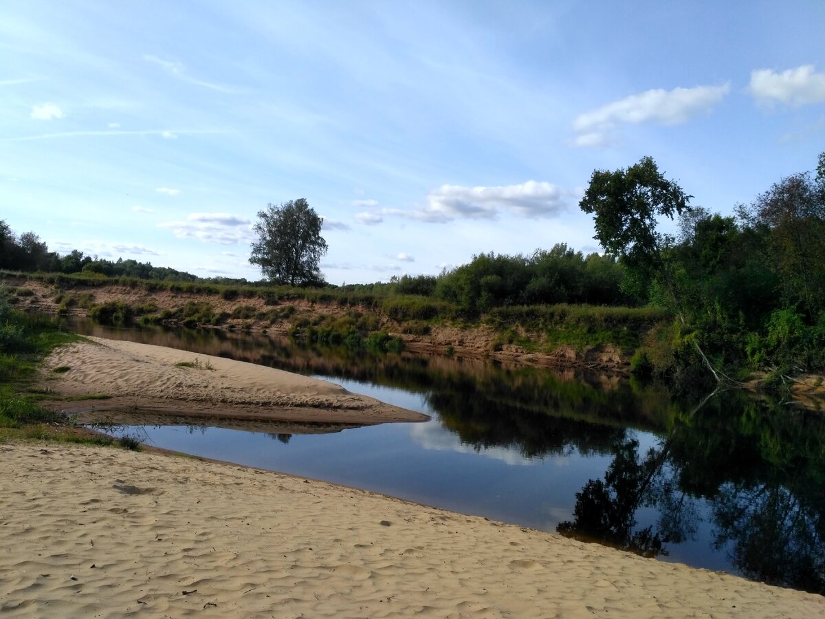 Луга берега. Лужский район деревня речка. Река Луга пляжи. Посольский остров на реке Луга. Пляж на реке Луга в г Луга.