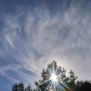 Здравствуйте, дорогие мои любимые дети!