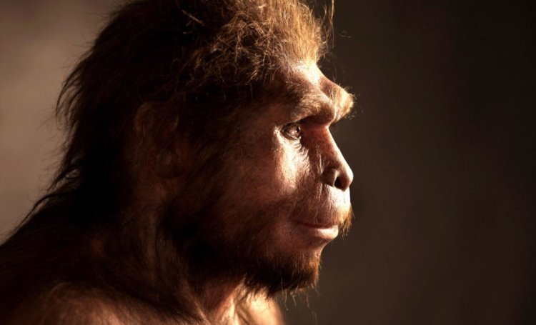 Первый огонь был добыт задолго до возникновения Homo Erectus 