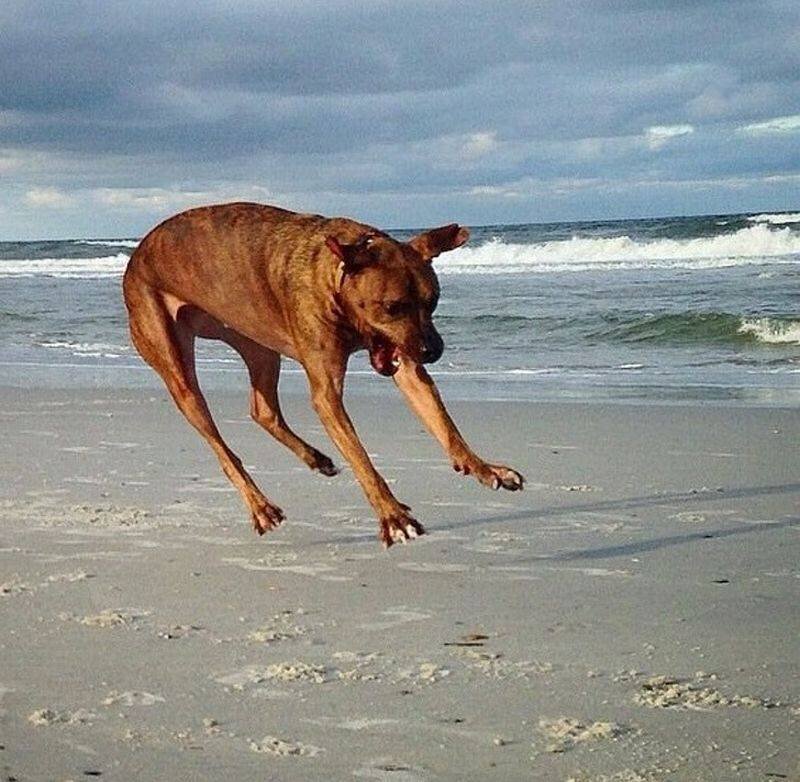 Фото из свободных источников 