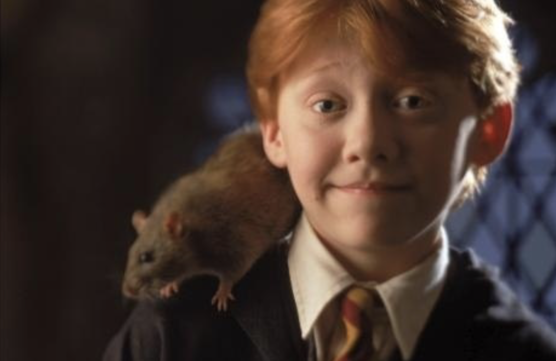 "Гарри Поттер и Тайная комната"