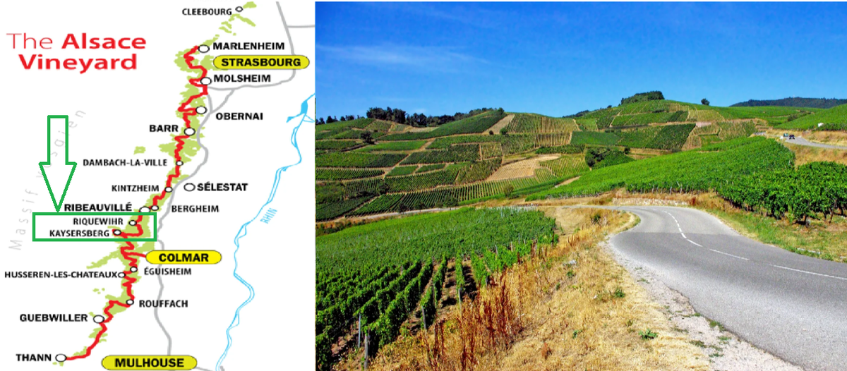 Винная дорога Эльзаса. Стартовали Сверху, якорь кинули в Кольмаре.