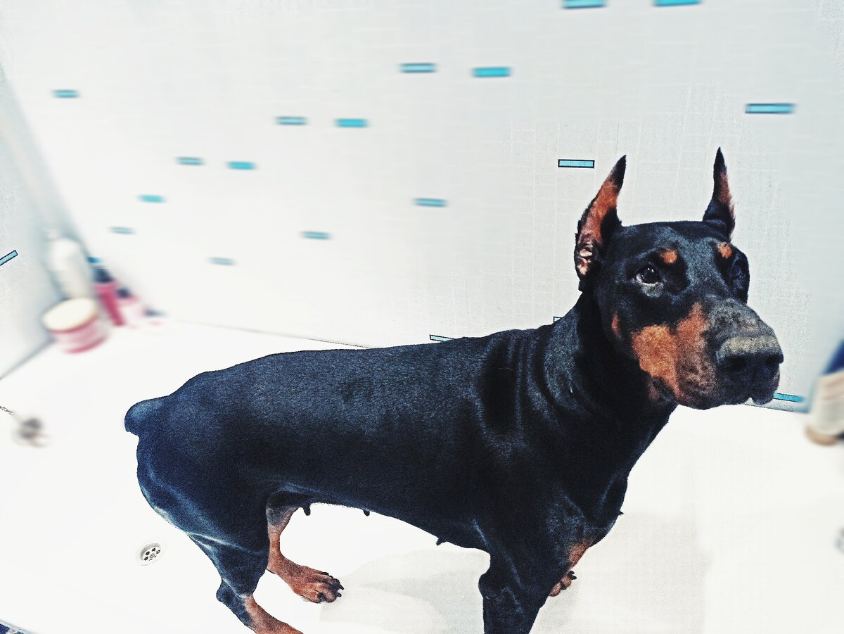 Марго в ванной. 