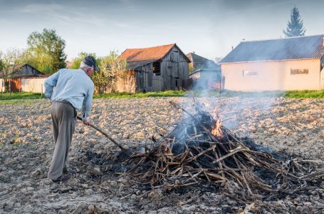 Чего нельзя делать на даче: 10 самых штрафоопасных поступков