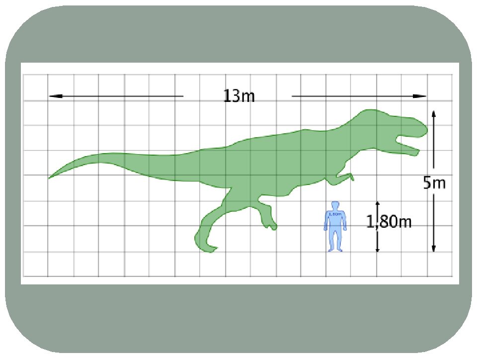 Фото взято из Яндекс картинок