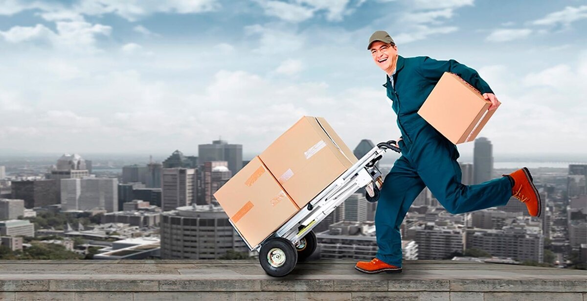 Взято с Яндекс.Картинки