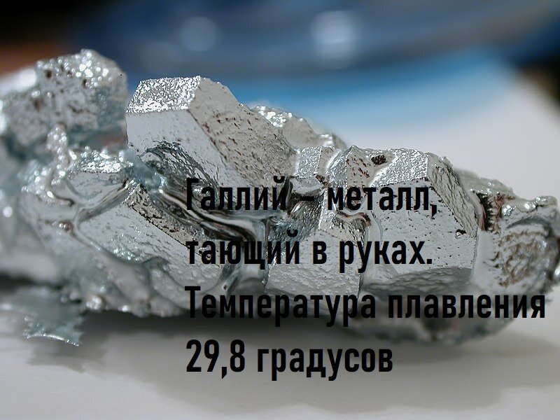 Фото из личного архива. 