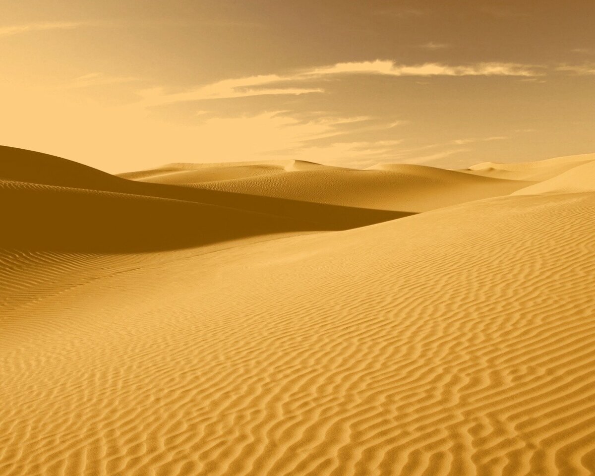 Sahara desert