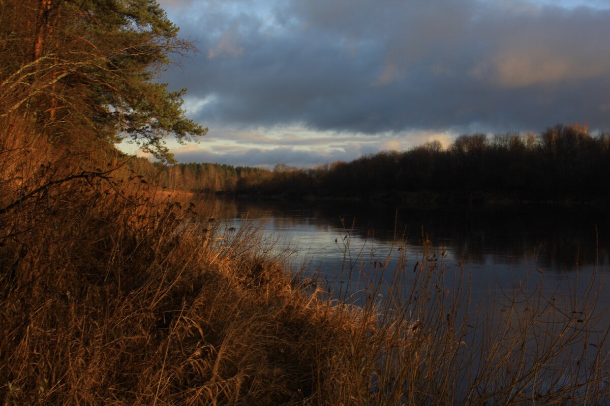 Река Паша километрах в сорока от Тихвина