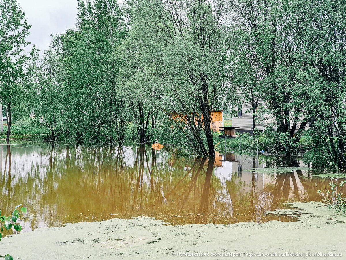 Дожди кончились, а вода осталась. Посмотрела что происходит рядом с дачей после ливней