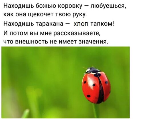 Фото: Яндекс Картинки
