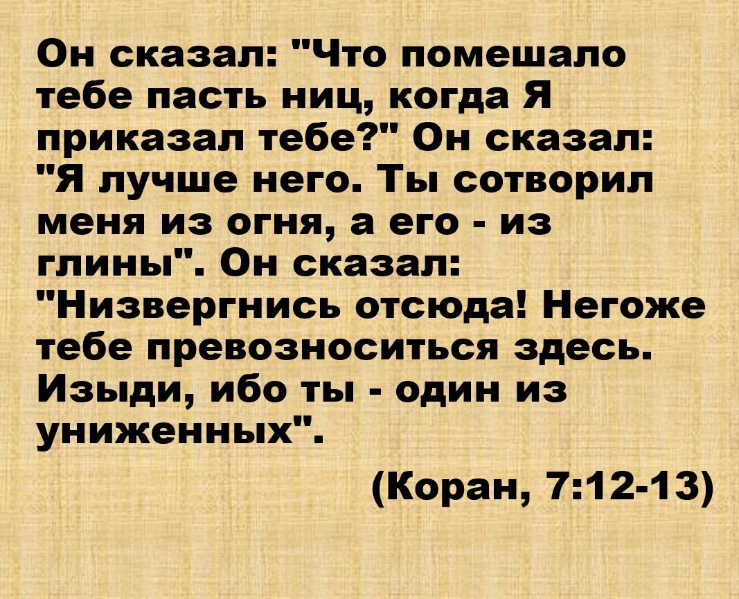 Аяты из Священного Корана, которые приносят вдохновение (14). | Ислам в  вопросах и ответах | Дзен