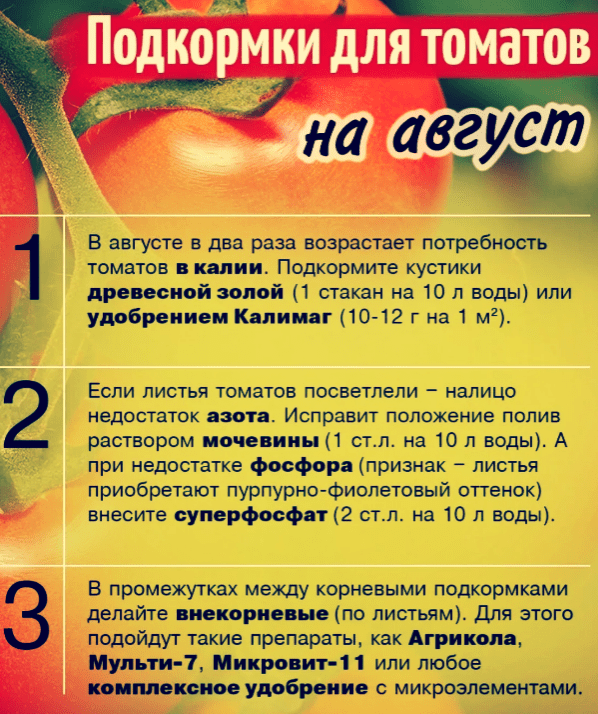 2 подкормка томатов