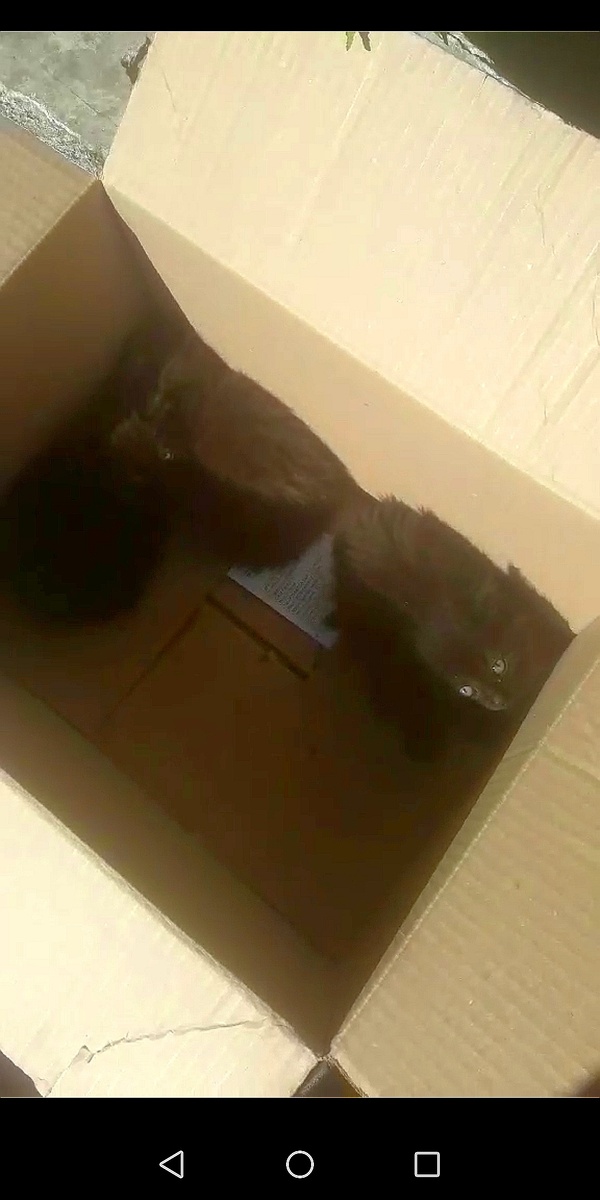 Скриншот с видео. 