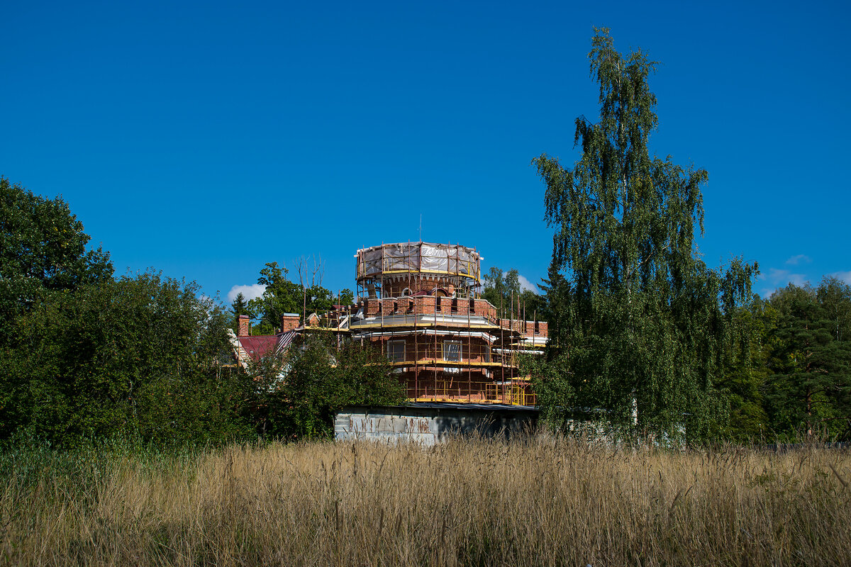 Пенсионерная конюшня в Александровском парке, Пушкин (Царское село) |  Маленькие прогулки | Дзен