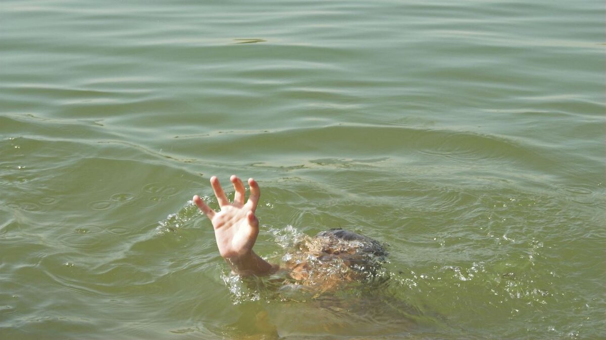 Источник Яндекс Картинки