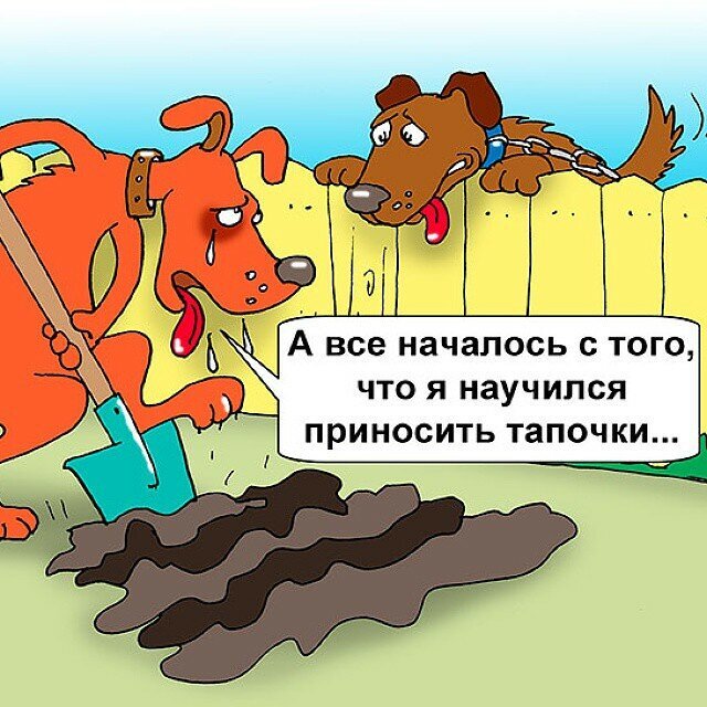 Источник telegram