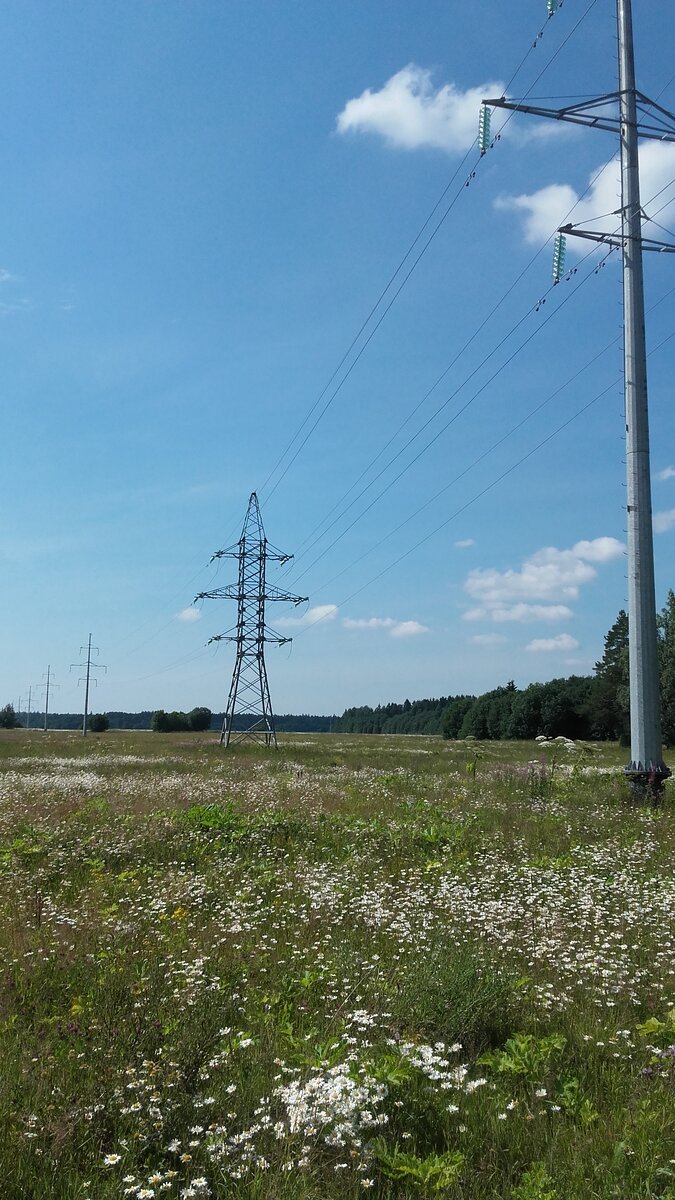 Приятная атмосфера была уже на пути к деревне (в ней я, кстати, был в первый раз в жизни). Солнечный день, цветущие поля и ЛЭП - будто пейзаж из "Бесконечного лета".  