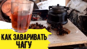 Как правильно заваривать чагу