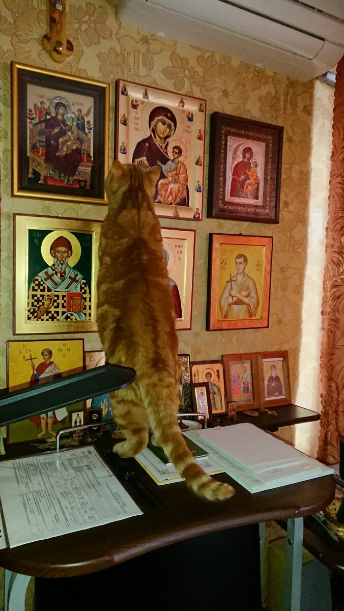 Послушник Тимофей сугубо молится. 