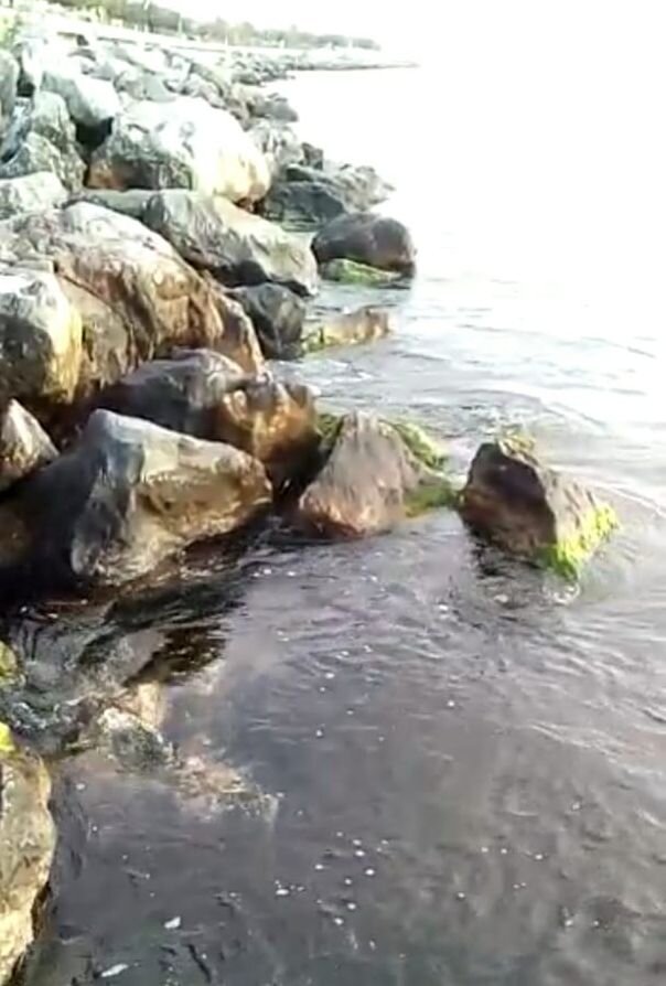 МОРЕ,МОРЕ,МОРЕ...