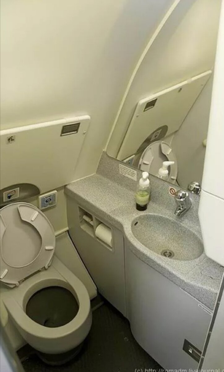 Где туалет где туалет песню. Туалет в самолете Боинг 737. Airbus a320 туалет. Туалет в самолете s7. Аэробус а320 туалет.