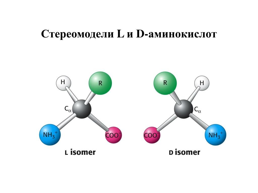 D l форма. L D изомерия аминокислот. Оптическая изомерия Альфа аминокислот. Д И Л формы аминокислот. Пространственная изомерия аминокислот.