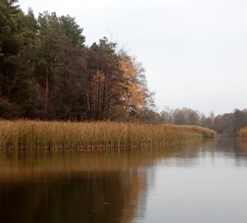 Фото автора.