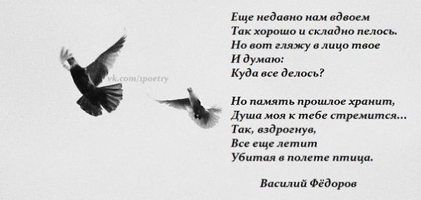 фото  из свободного  доступа