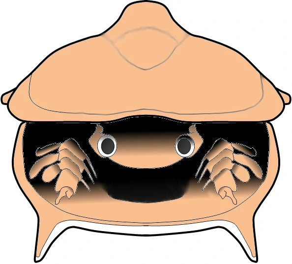 Ты видишь мой глаз?