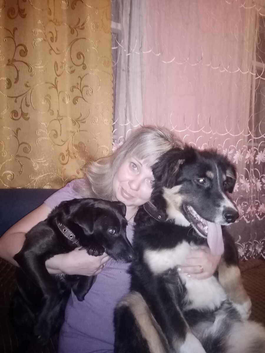Люсенька и Зевсик, им повезло... Помощь оказана во время. 