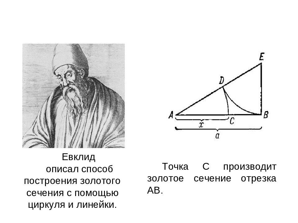 Теорема пифагора окружность. Начала Евклида золотое сечение. Геометрия Пифагор Евклид. Пифагор золотое сечение. Теорема Евклид Александрийский.